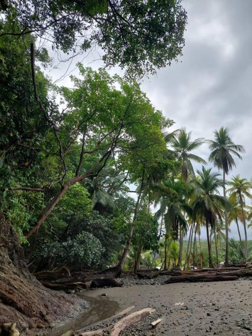 Casa Bahia Ale, Bahia Ballena Увіта Екстер'єр фото